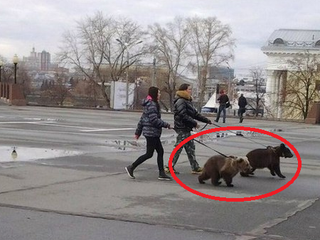 12 Απίστευτες φωτογραφίες που συναντάς μόνο στην Ρωσία