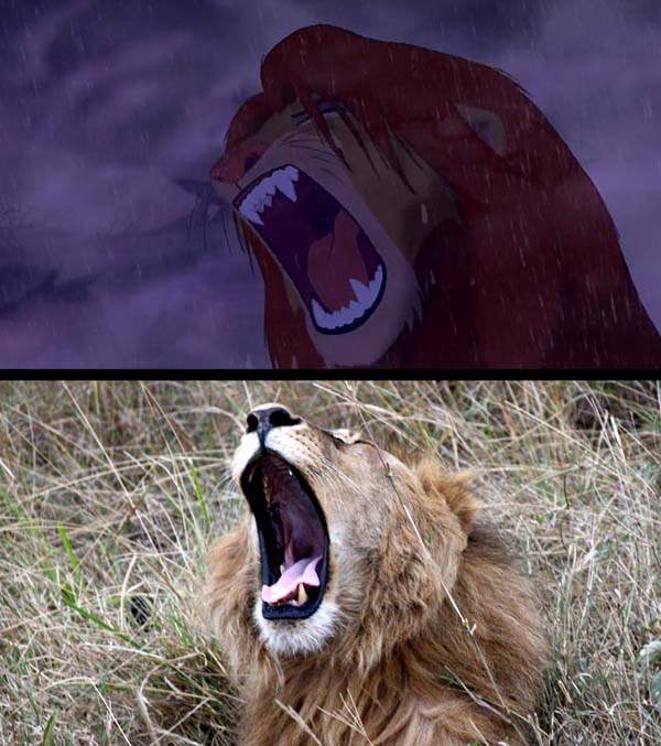 Εικόνες του Lion King στην πραγματικότητα