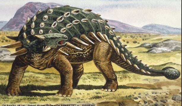 agkulosauros
