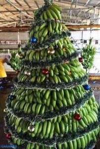 χριστούγεννα-ινδία-μπανάνες