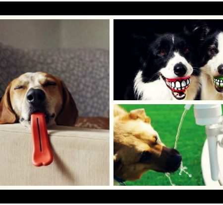 Τα 10 πιο περίεργα αξεσουάρ για σκύλους!
