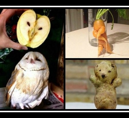 16 Αστείες εικόνες με φρούτα και λαχανικά!