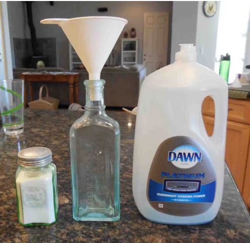 salt and cleaning bottles