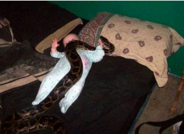 baby and snake