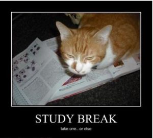 study breaks