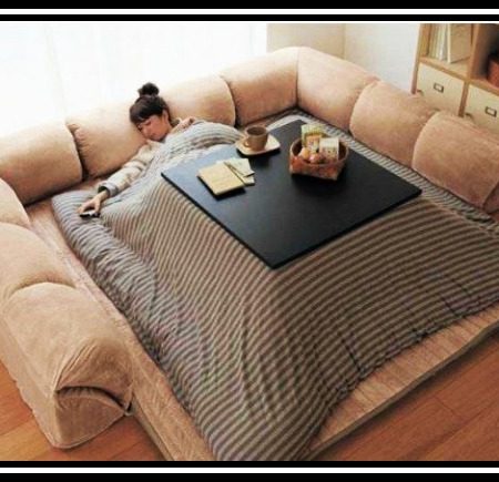 Εκπληκτικός καναπές που θα σε κάνει να μη βγαίνεις από το σπίτι σου!