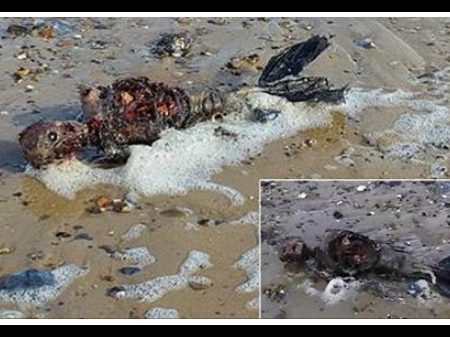 Βρέθηκαν λείψανα γοργόνας σε ερημική παραλία της Αγγλίας!