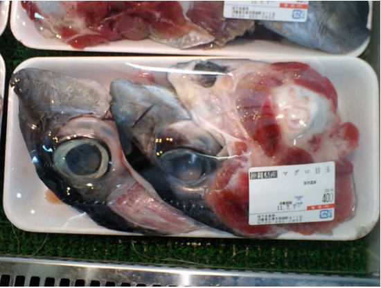 tuna-eyeball