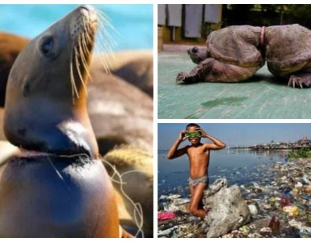 27 Εικόνες που θα σε πείσουν να κάνεις ανακύκλωση!