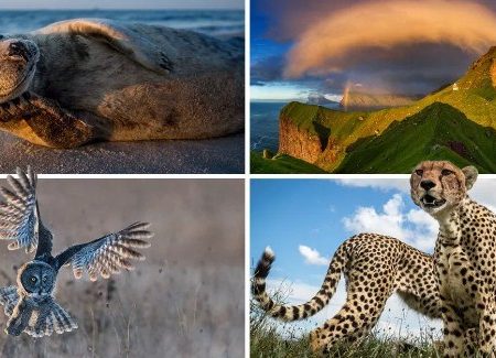 30 Φωτογραφίες από το National Geographic για το 2017!