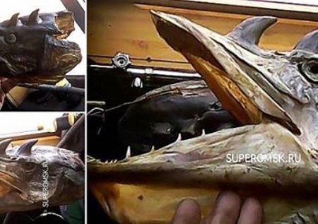 Βρέθηκαν μεταλλαγμένα ψάρια με κέρατα στη Ρωσία!