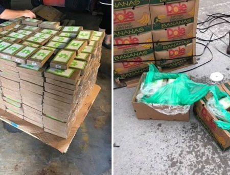 540 Κιλά κοκαΐνης βρέθηκαν σε κουτιά μπανάνας στο Τέξας!